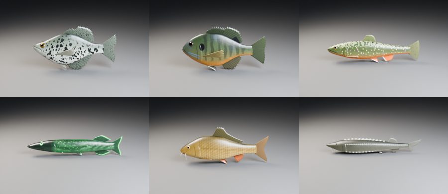 Six of the fish species
